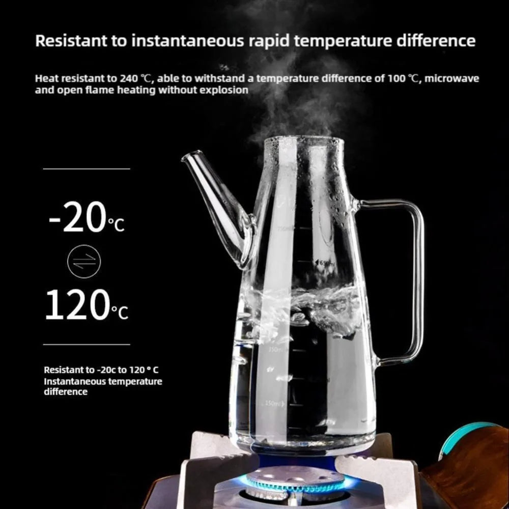 Glass Oil Dispenser Bottle